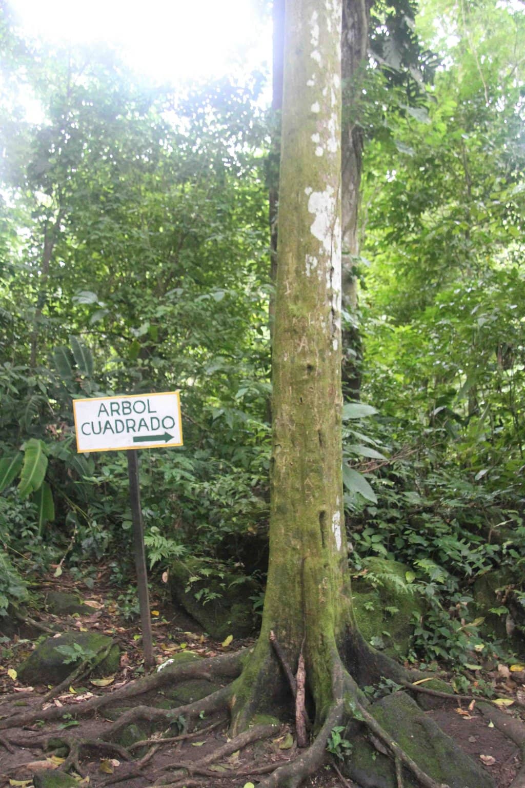 Vertical photo