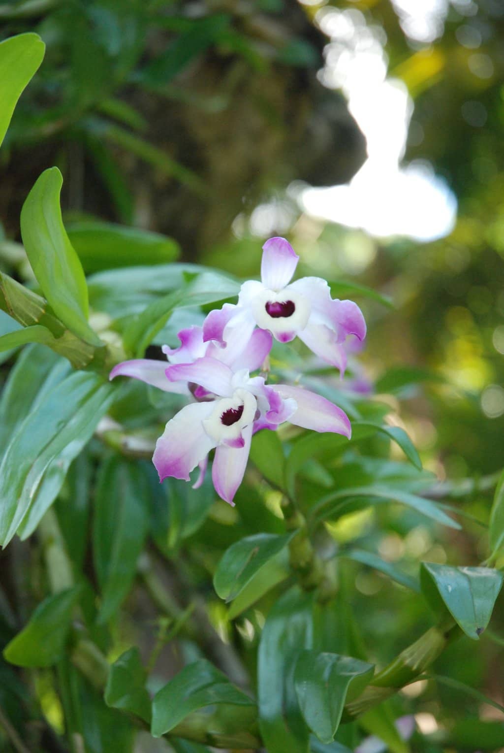 Guided Tours with Passionate Experts