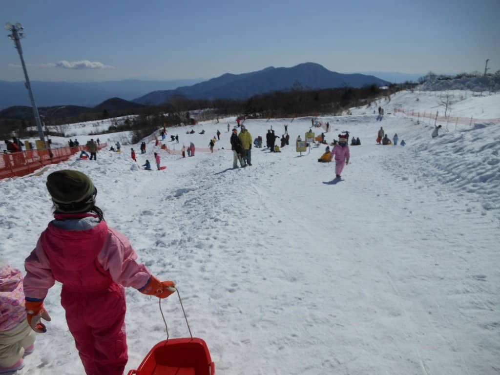 Beginner-Friendly Slopes