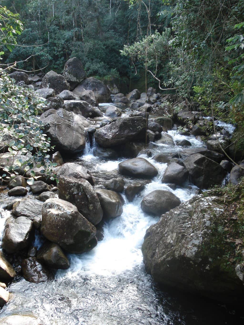Panoramic Mountain Vistas