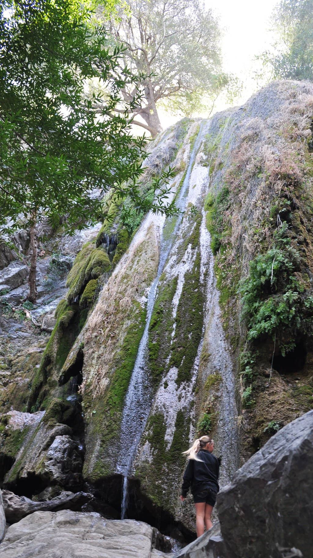 Vertical photo