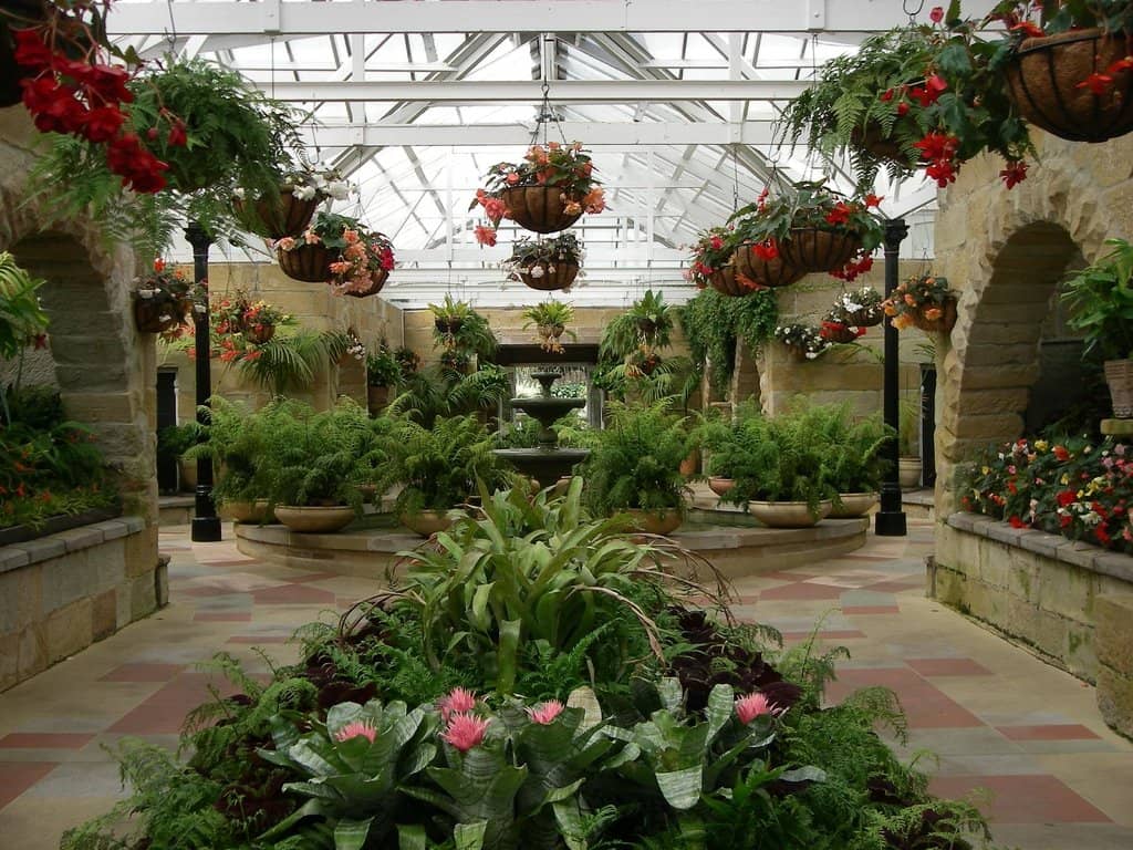 Subantarctic Plant House