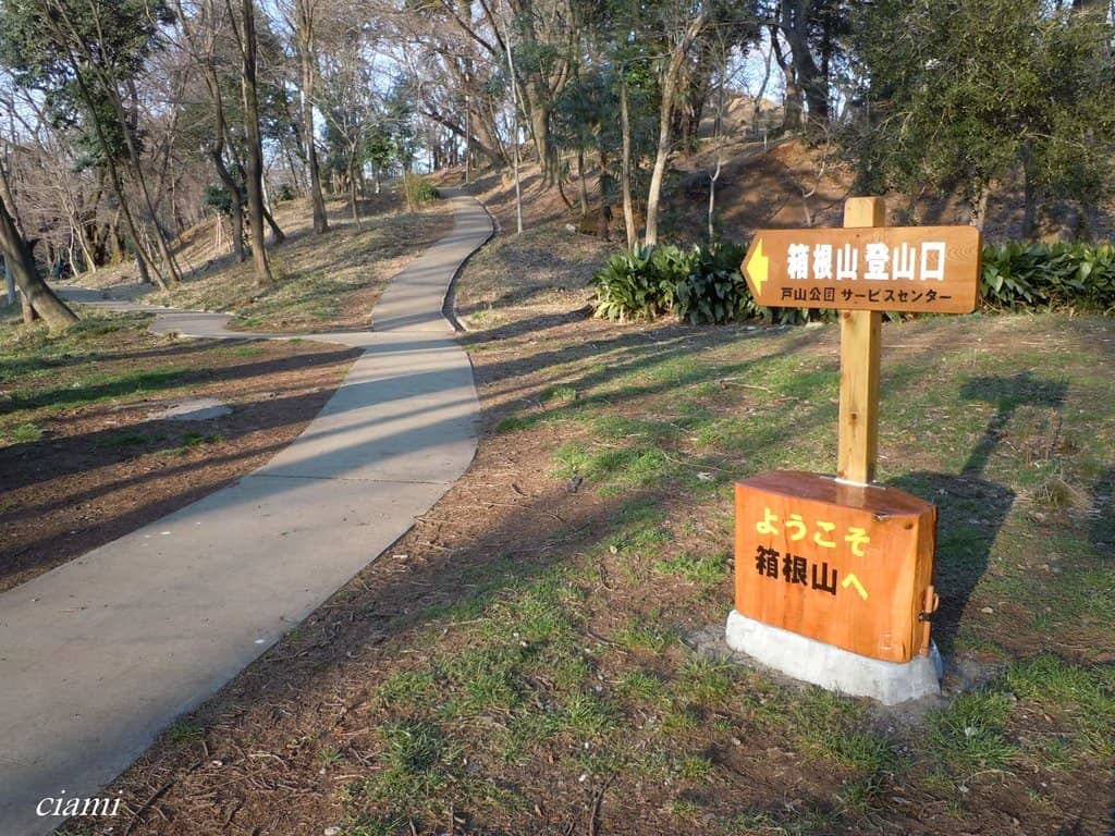 Vertical photo