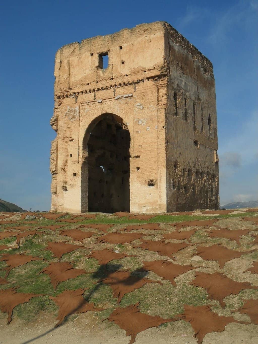 Vertical photo
