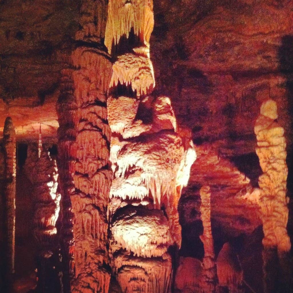 Vertical photo