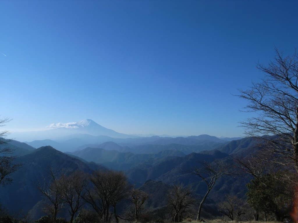 Vertical photo