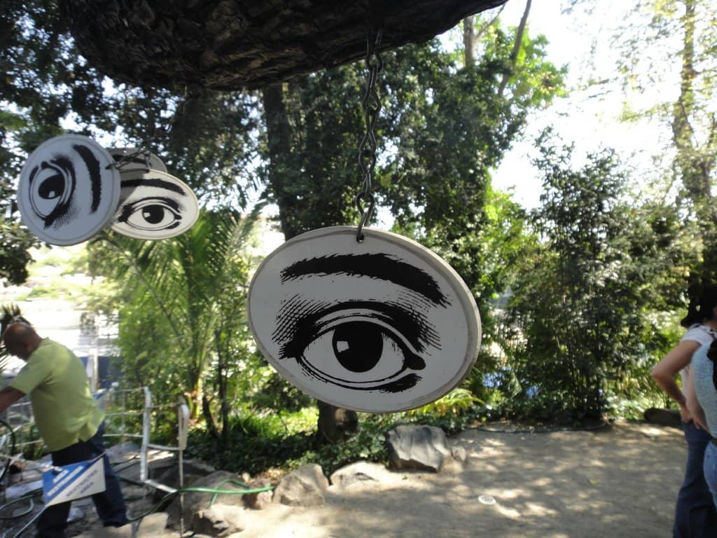 Vertical photo