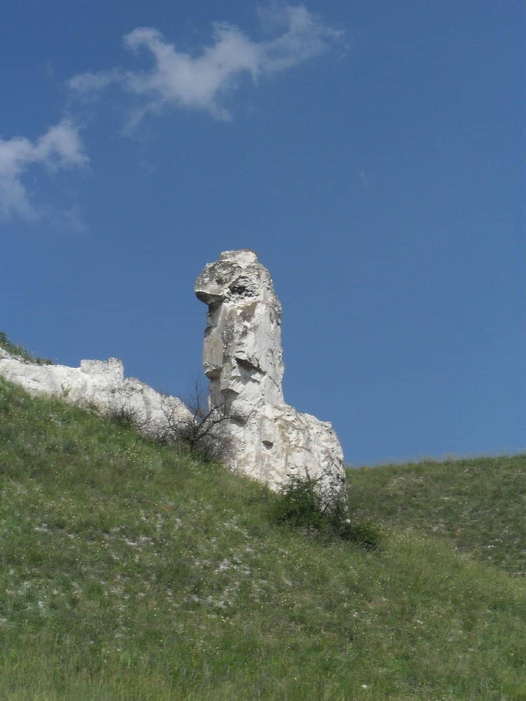 Vertical photo