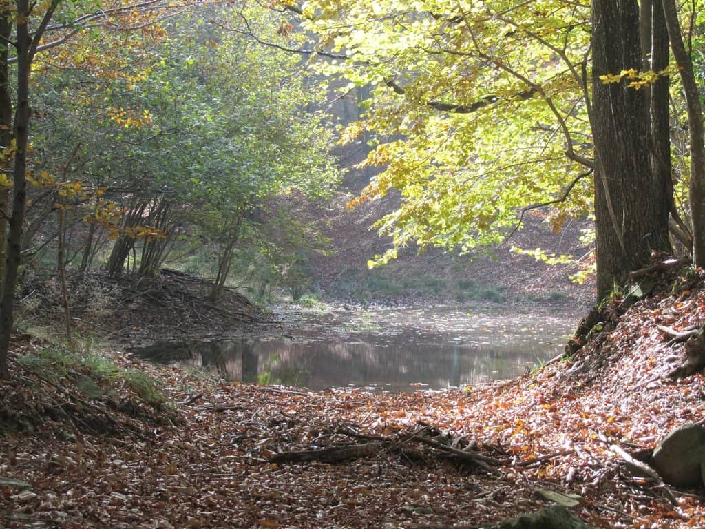 Passo del Faiallo to Rifugio Argentea