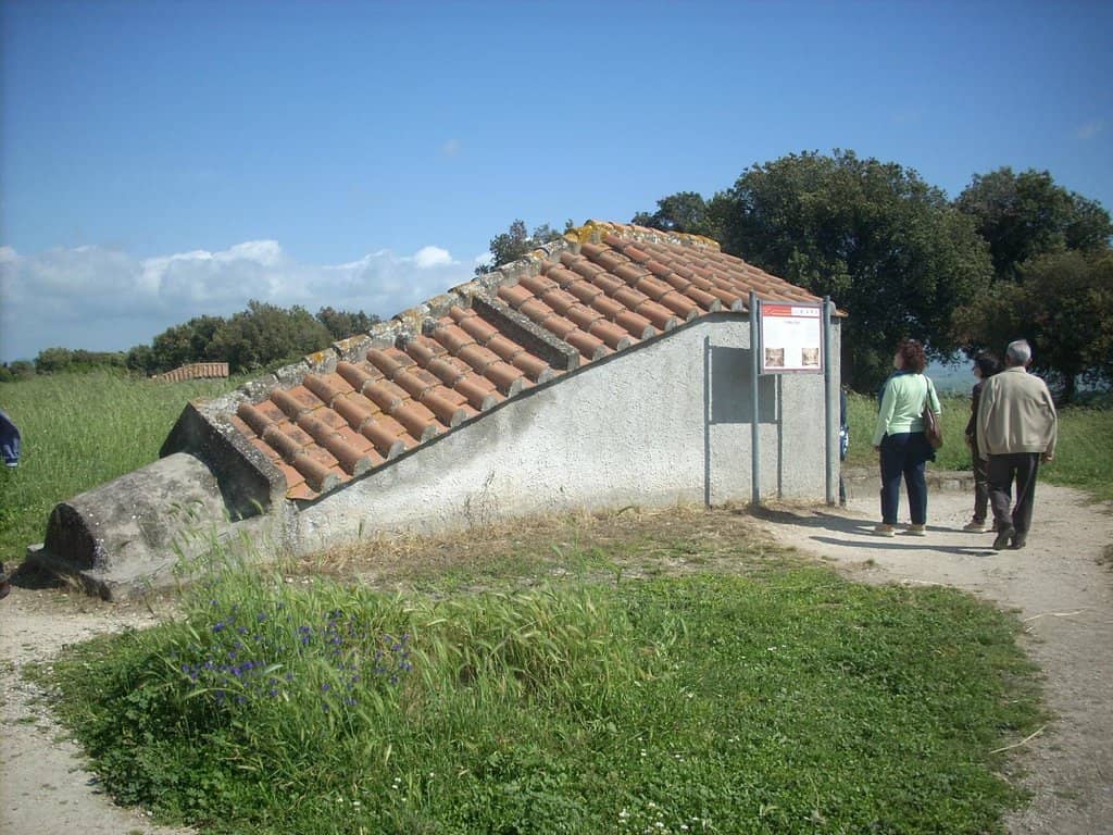 Vertical photo
