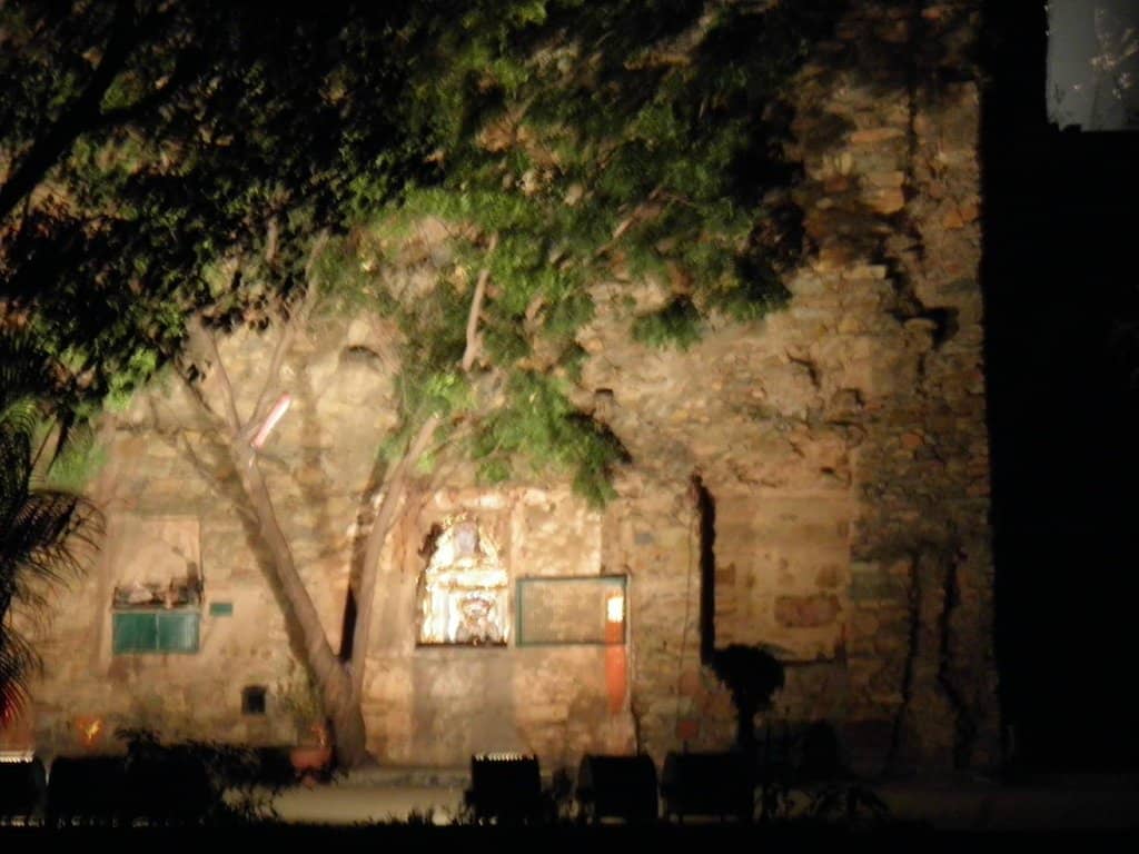 Vertical photo