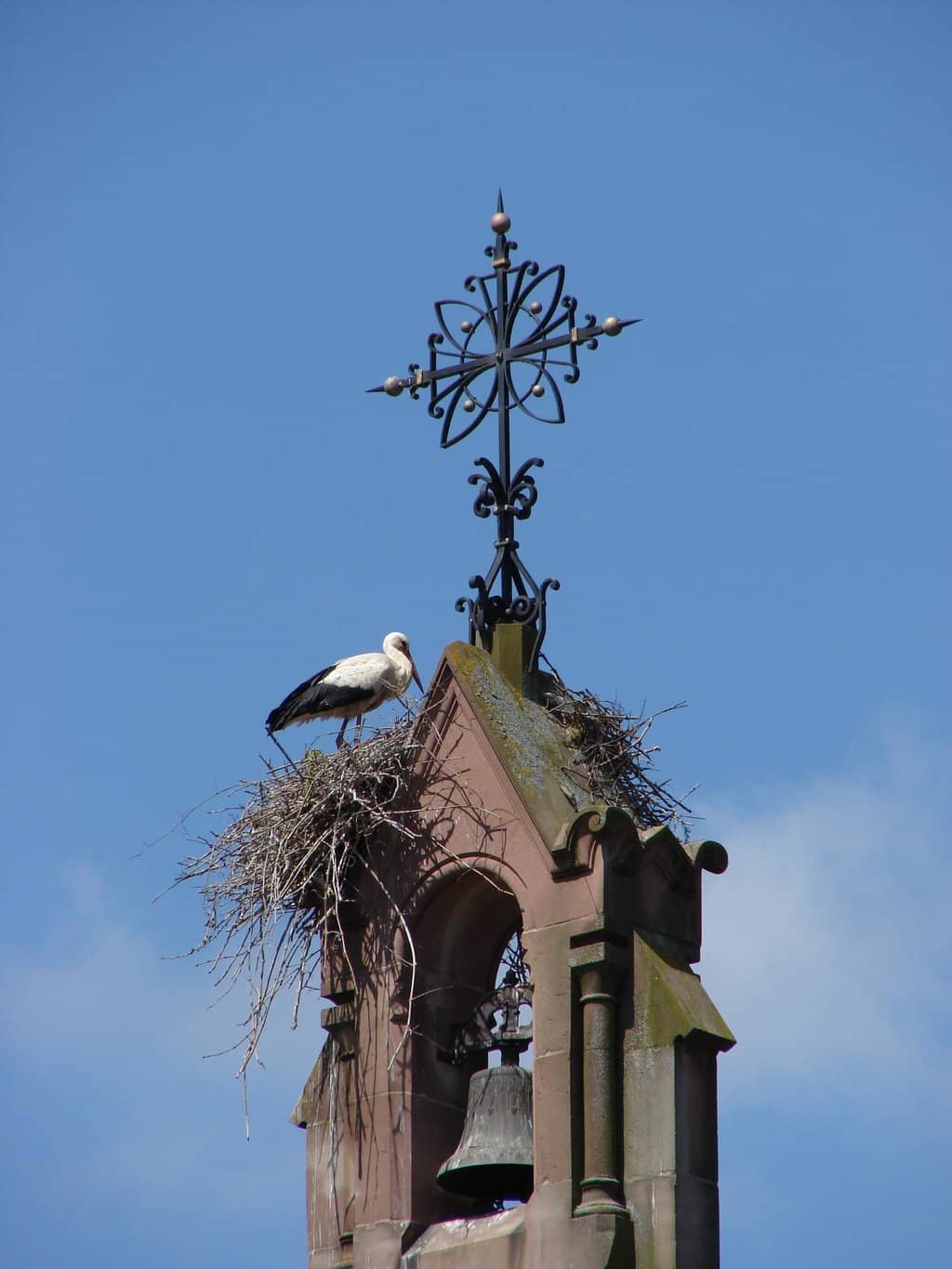 Vertical photo