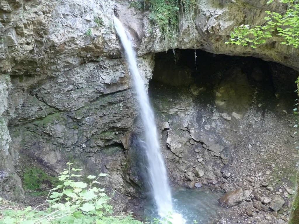 Lush Surroundings