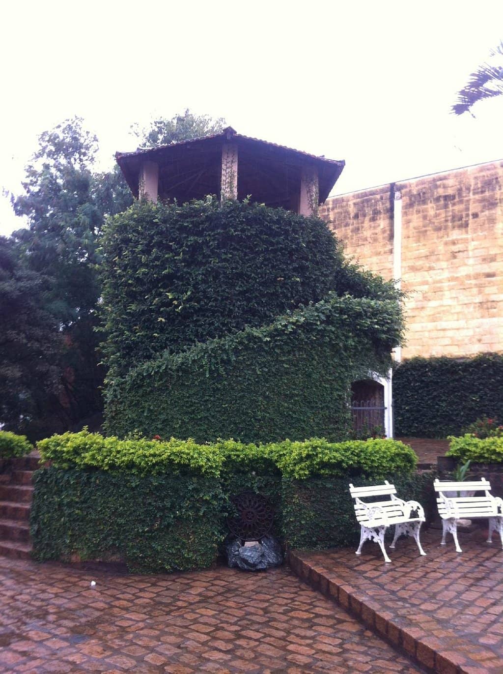 Vertical photo