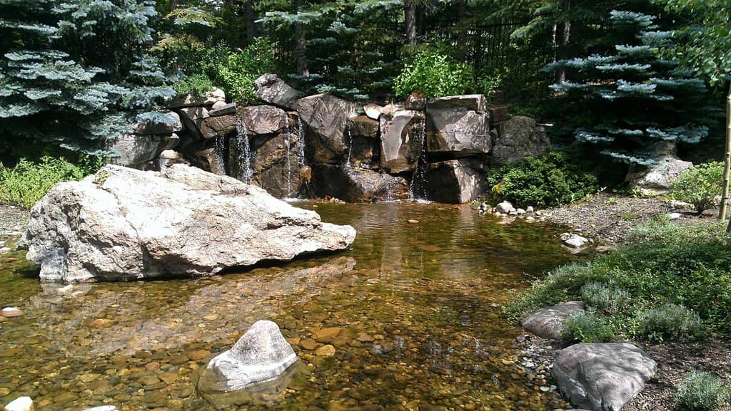 Perennial Gardens