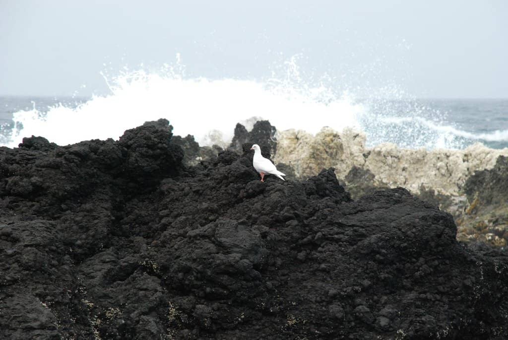 Underwater Exploration