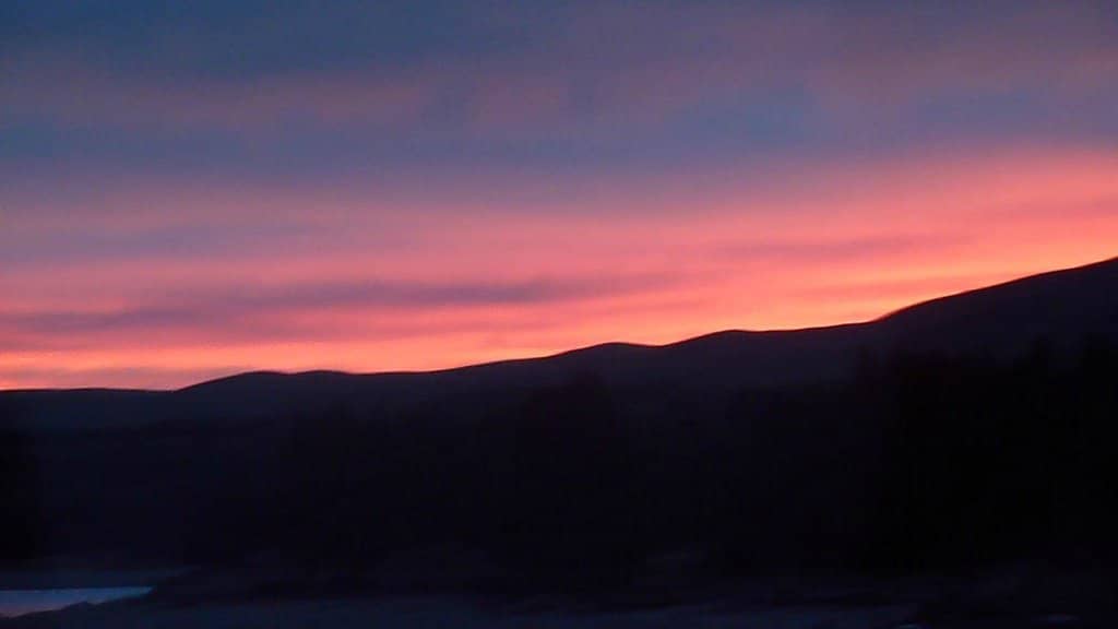Lupin Bloom Spectacle