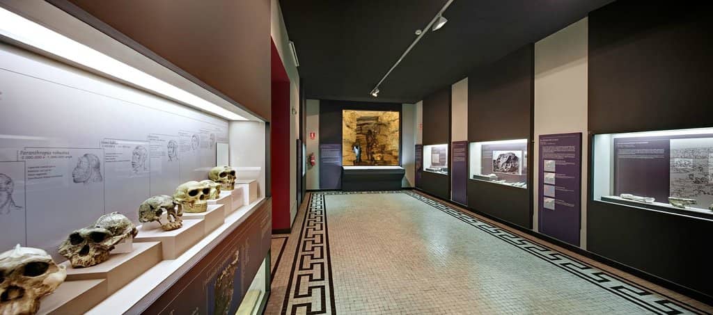 Museum Collection