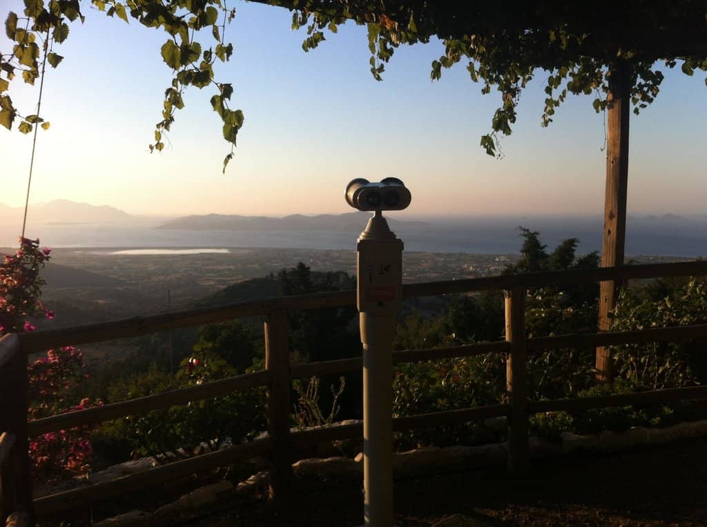 Charming Animal Encounters