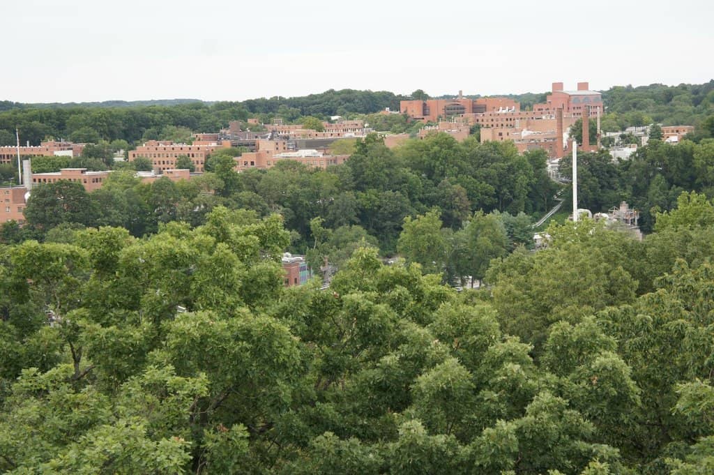 Expansive Green Spaces