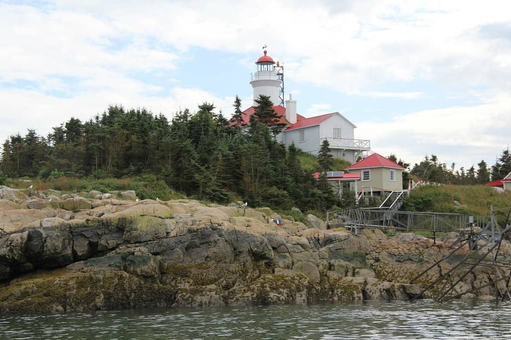Island Exploration & Wildlife