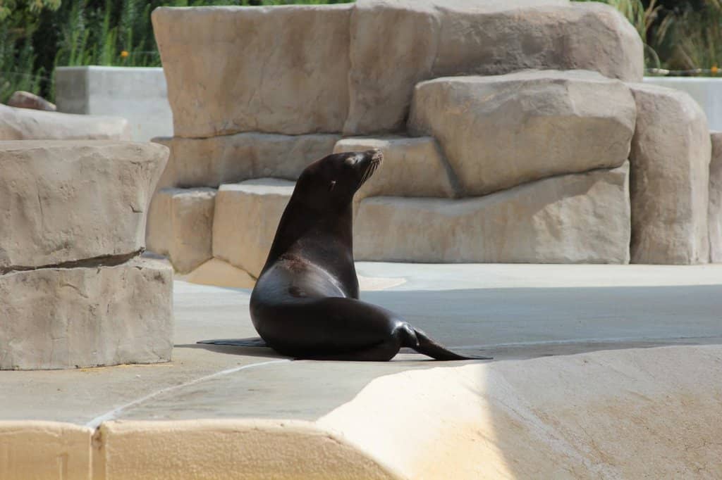 Dinosaur Discovery Trail