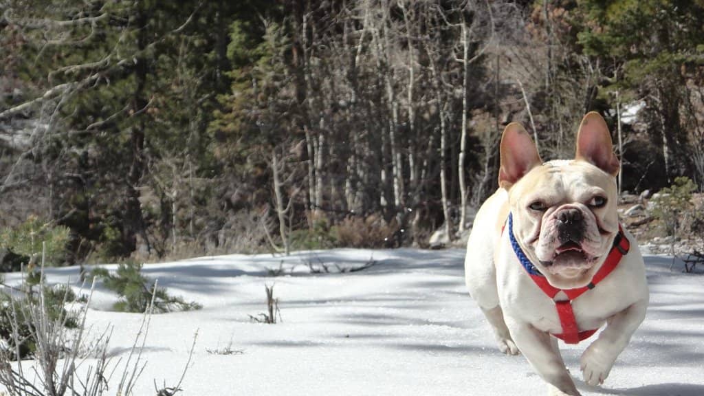 Scenic Mountain Views