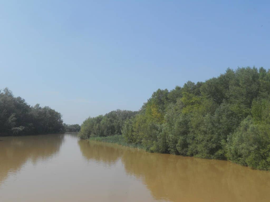 Birdwatching Haven