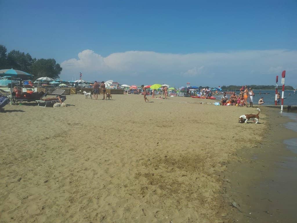 Fenced Sunbathing Areas