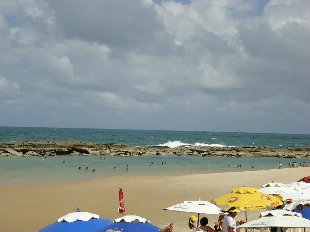 Abundant Marine Life