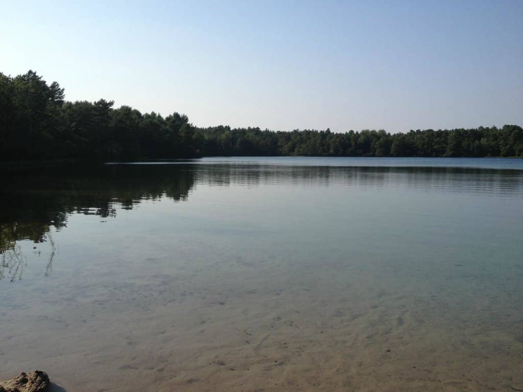 Wooded Hiking Trails