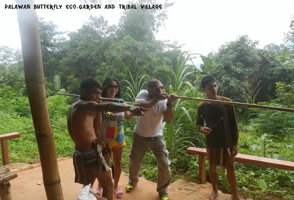 Local Wildlife Encounters