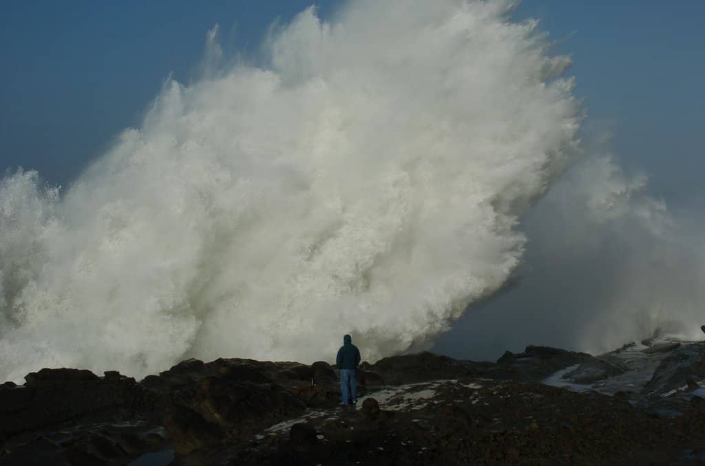 Tide Pools and Rocky Shoreline