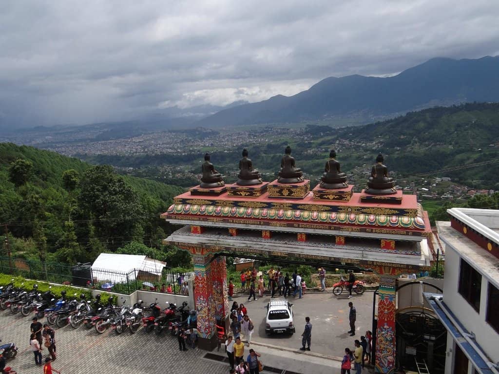 Pine Forest Hiking Trails