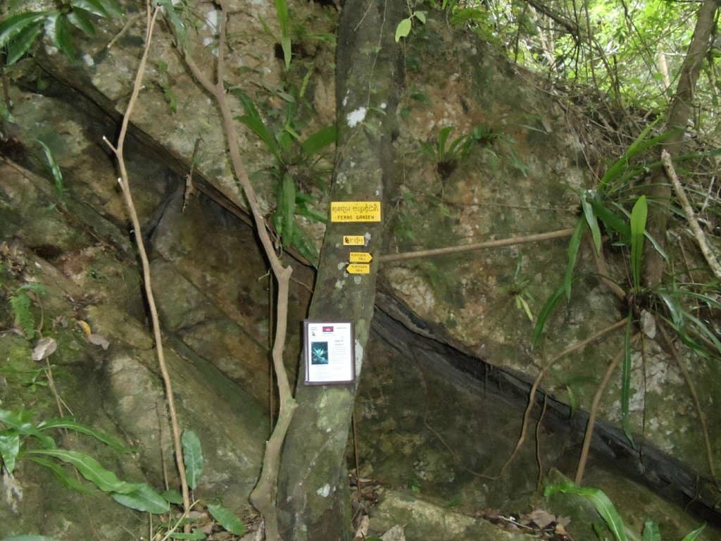 Sunset Rock Viewpoint