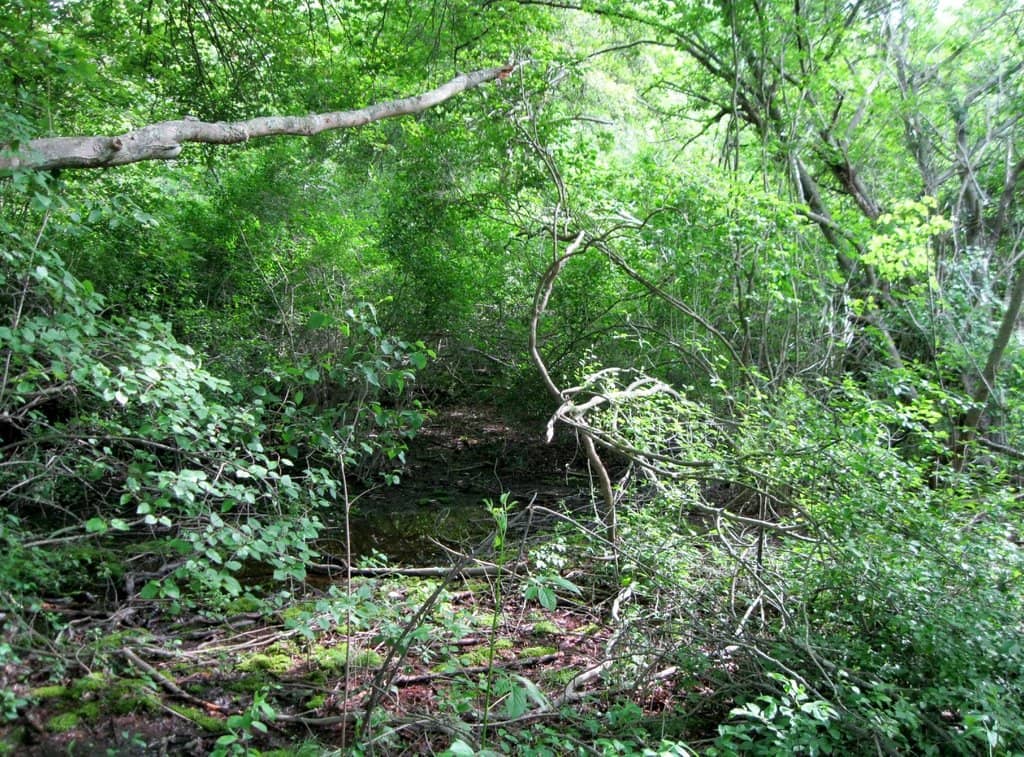 Quarry Rock Formation