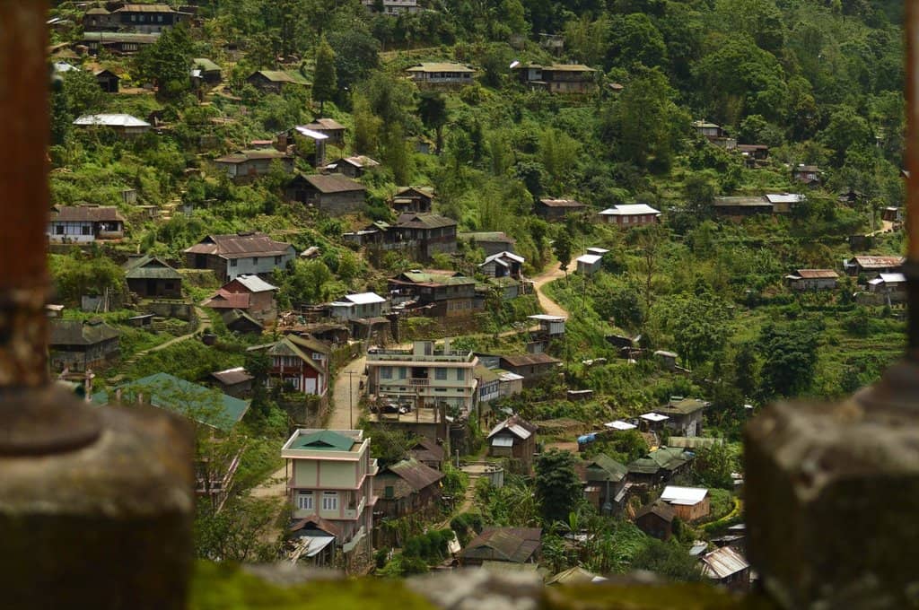 Conservation Efforts