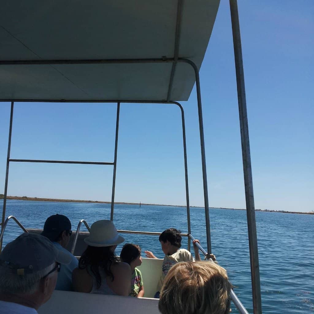 The Ferry Journey