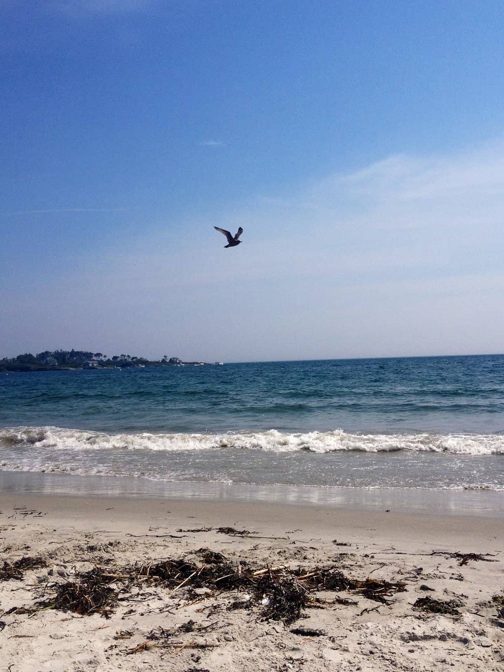 Mile-Long Sandy Shoreline