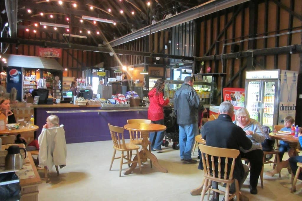 Family Fun Festivals