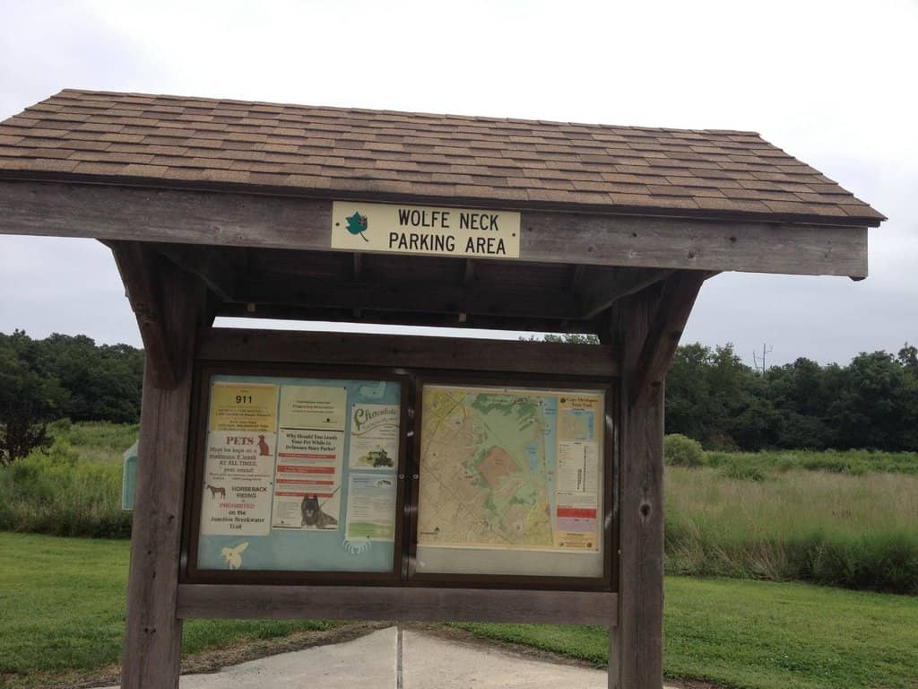 Unique Cement Trail Surface