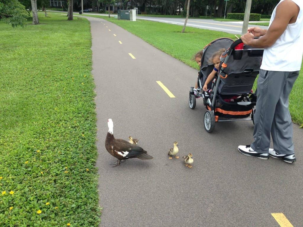Birdwatching Paradise