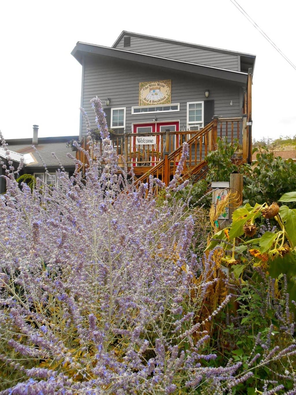 Pet-Friendly Vineyard Vibes