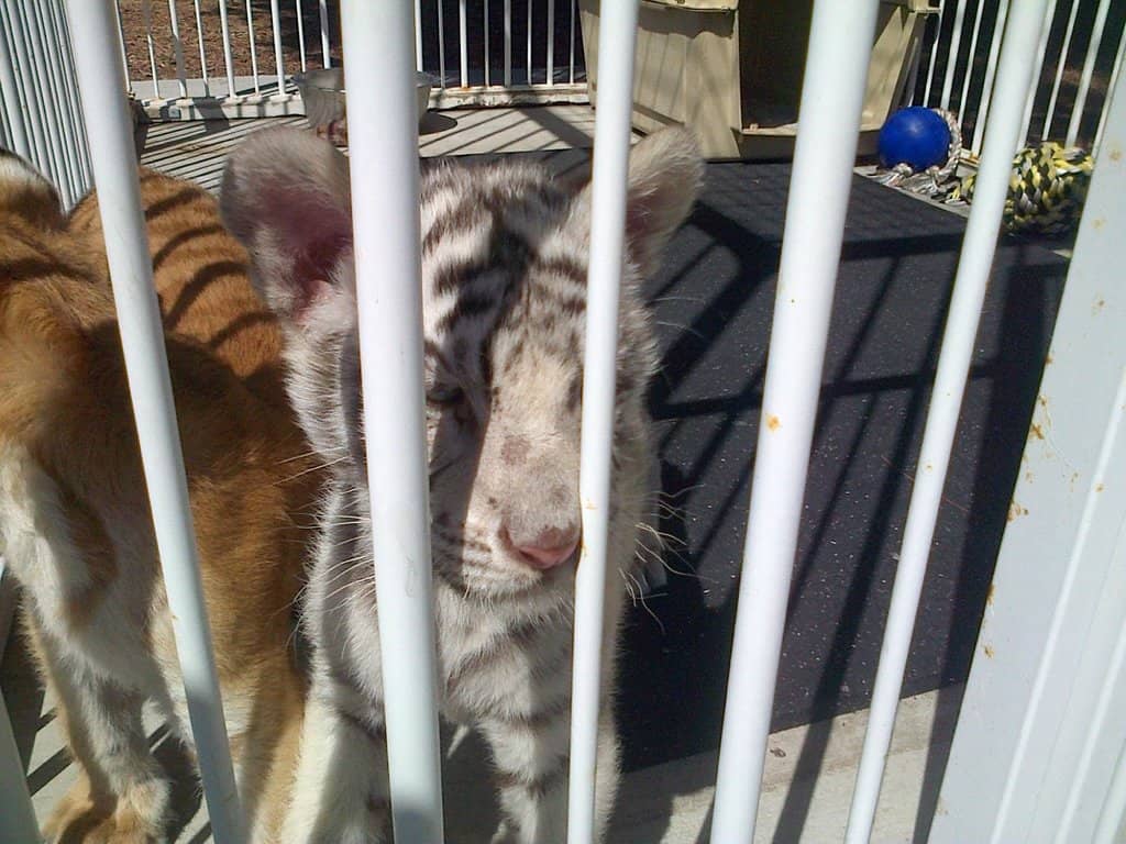 Behind-the-Scenes Tours