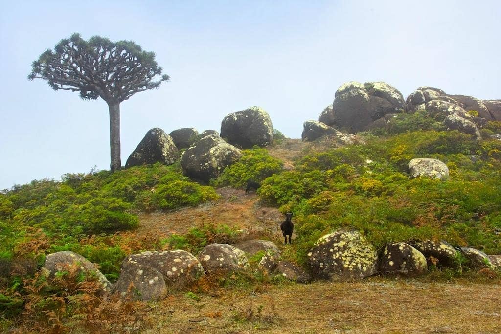Panoramic Vistas