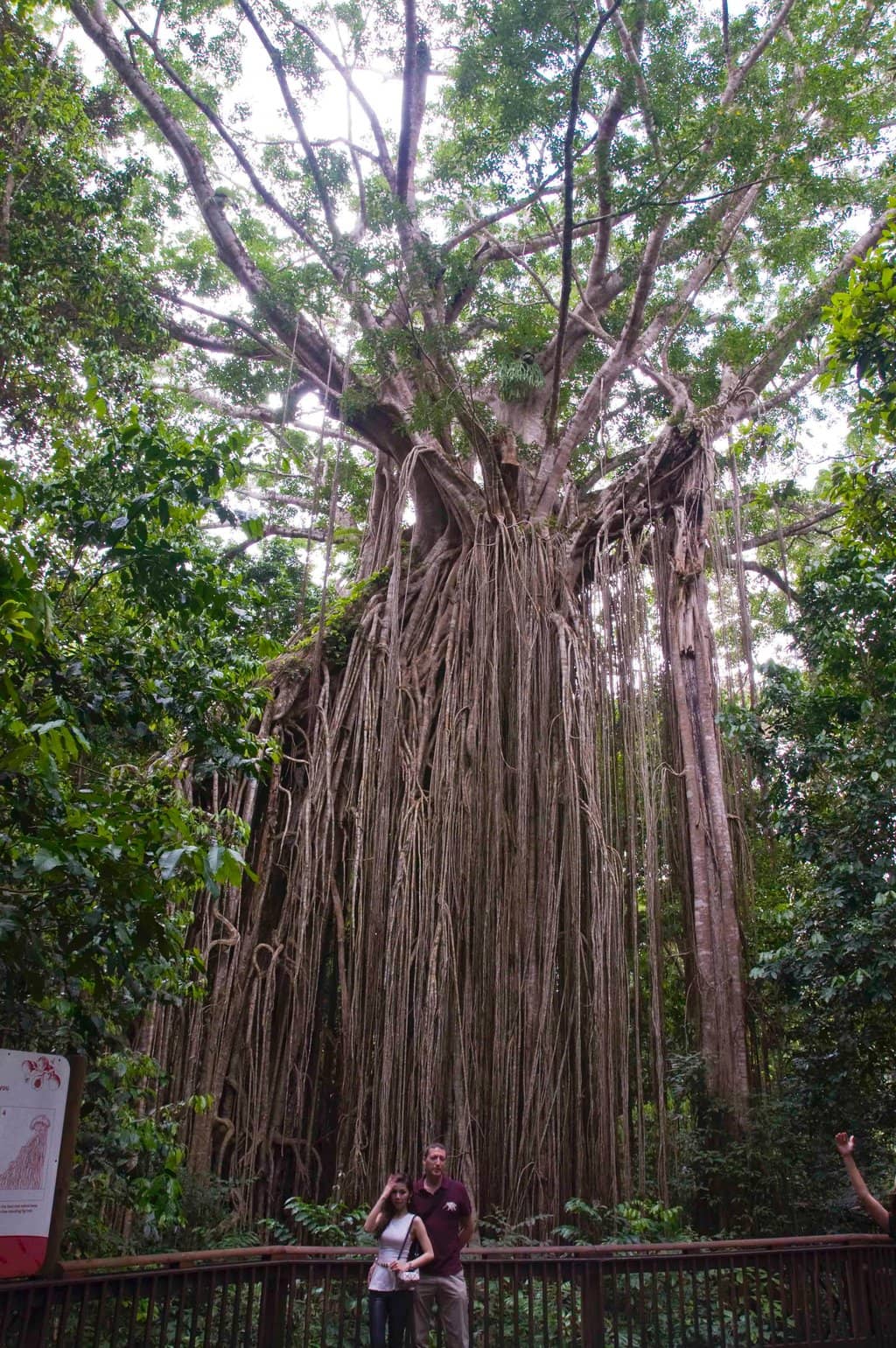 Vertical photo