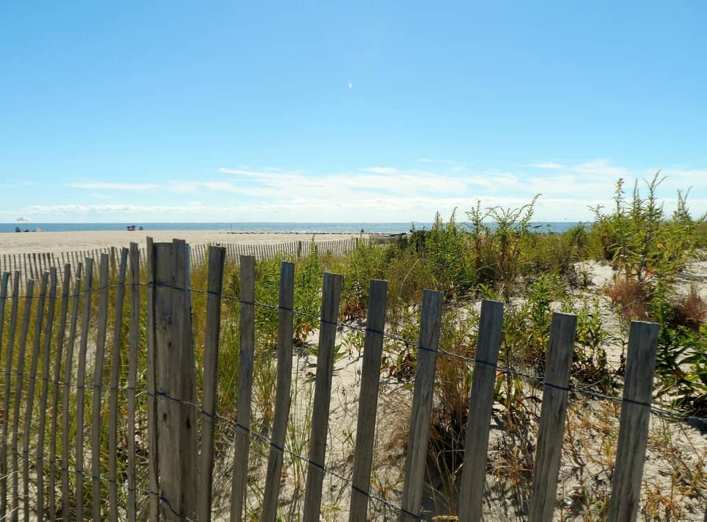 Accessible Beach Day