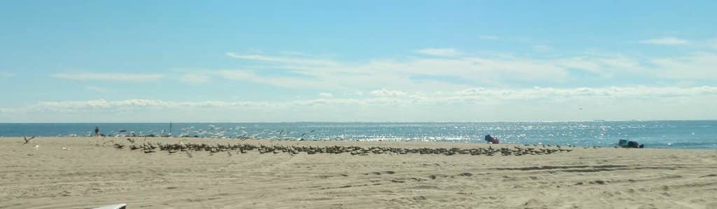 Ocean Swells and Surfing