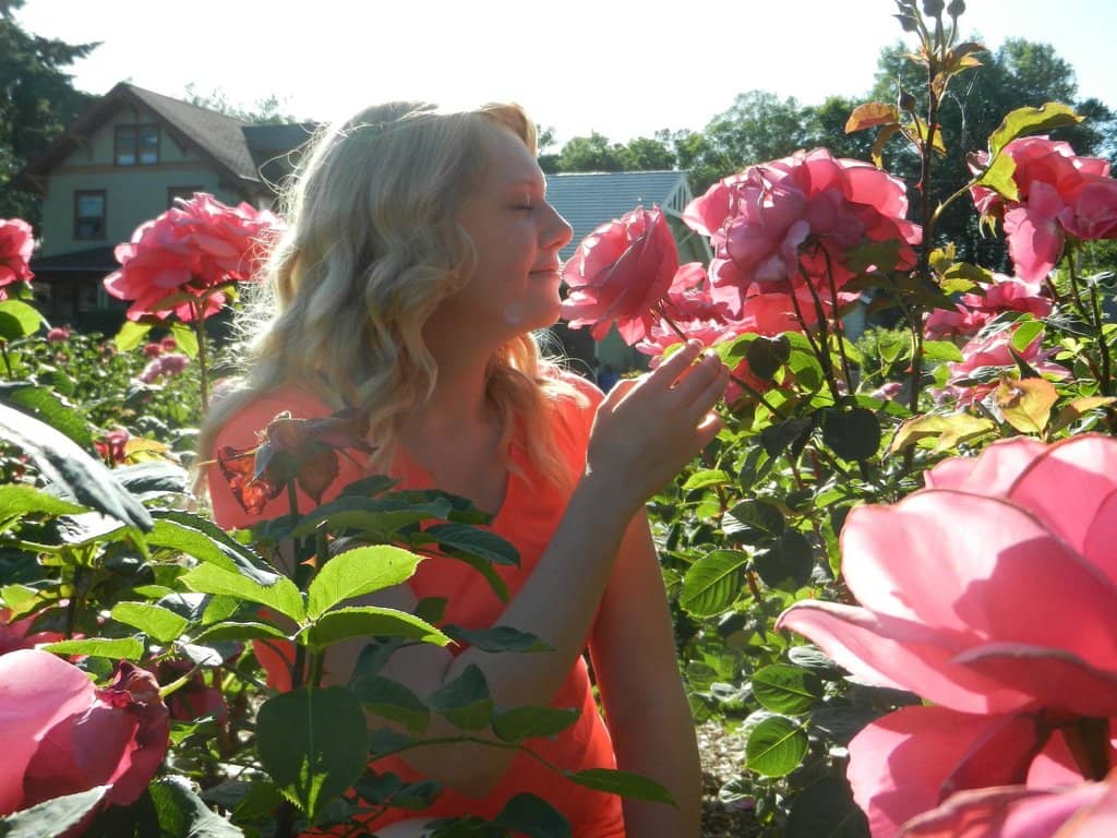The Rose Gardens