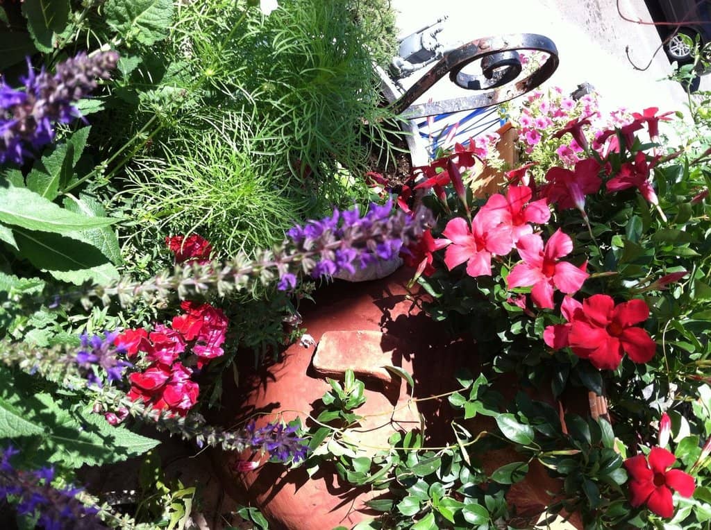 Delicious Vegetarian Options